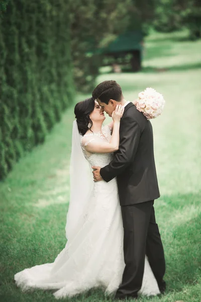 Happy wedding couple walking in a botanical park — Stock Photo, Image