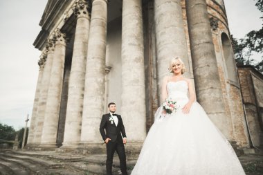 Mutlu düğün kaç sarılma ve öpüşme üzerinde arka plan eski kale