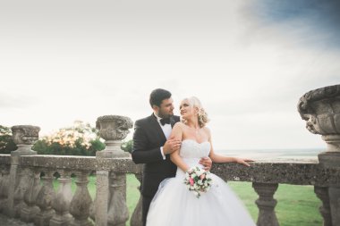 Güzel, romantik bir düğün. Yeni evliler. Eski kalenin yakınlarında sarılıyorlar.