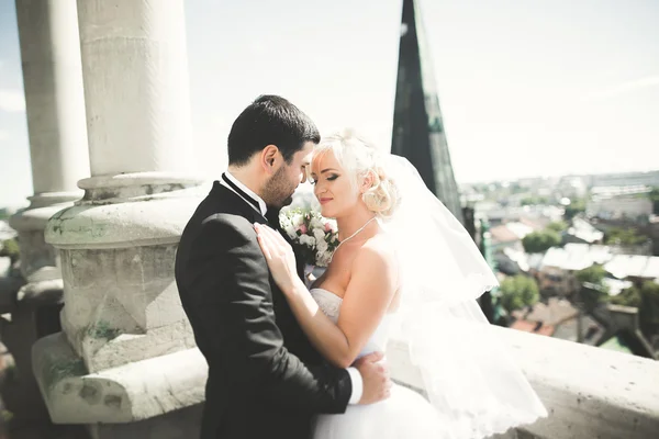 Besos boda pareja estancia sobre hermoso paisaje —  Fotos de Stock