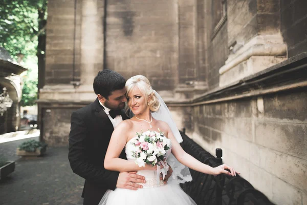 Coppia perfetta sposa, sposo posa e baci nel loro giorno del matrimonio — Foto Stock