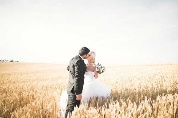 Hermosa pareja de boda, novia y novio posando en el campo de trigo con cielo azul —  Fotos de Stock