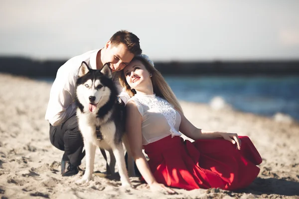 Retrato de um casal feliz com cães na praia — Fotografia de Stock