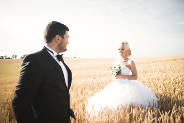 Güzel düğün çift, gelin ve damat buğday alan mavi gökyüzü ile poz