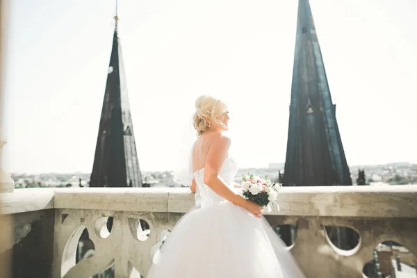 完璧な風景とバルコニーの美しい豪華な花嫁 — ストック写真