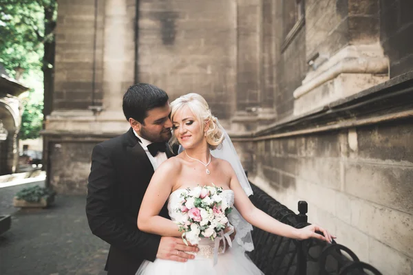 Coppia perfetta sposa, sposo posa e baci nel loro giorno del matrimonio — Foto Stock