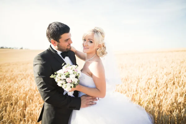 Elegante elegante novia rubia feliz y magnífico novio posando en el campo de trigo en el cielo azul de fondo —  Fotos de Stock