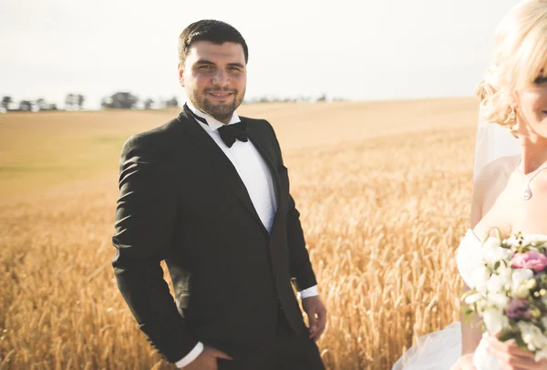 Hermosa pareja en el campo, Amantes o recién casados posando con el cielo azul perfecto — Foto de Stock