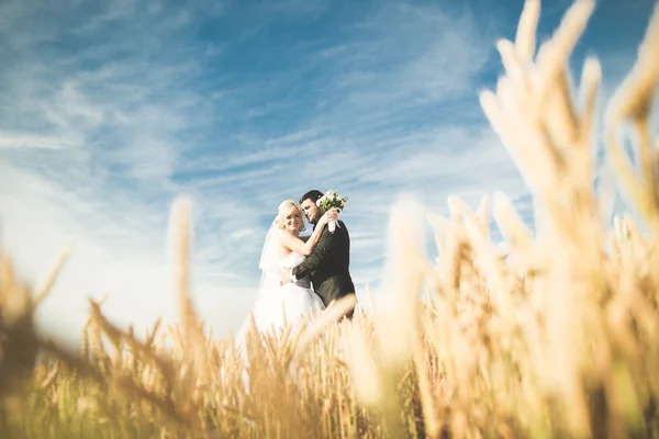 Bella sposa emotiva che abbraccia lo sposo appena sposato a un primo piano di campo — Foto Stock