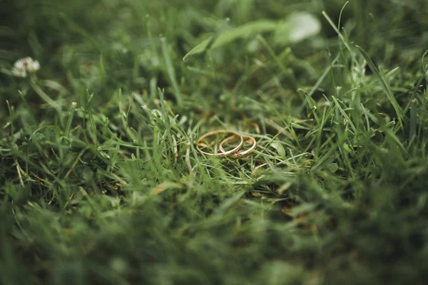 Perfektní svatební prsteny ležící na trávě — Stock fotografie
