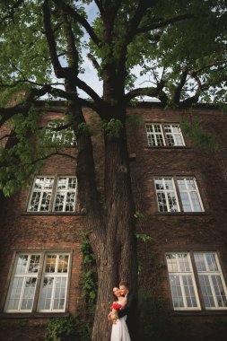 Zarif güzel düğün çift, gelin ve damat çalılar duvarına yakın park poz