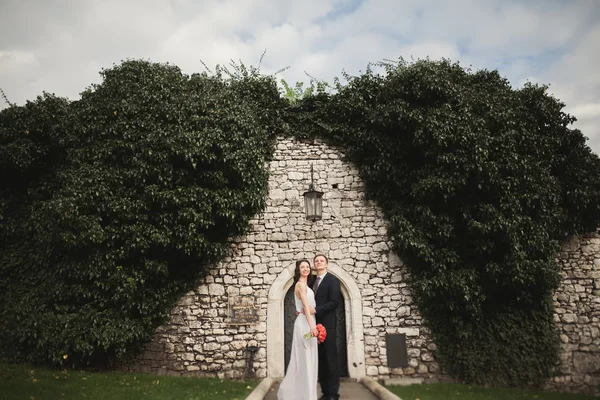エレガントな美しい結婚式のカップルの茂みの壁の近くの公園でポーズをとって新郎新婦 — ストック写真