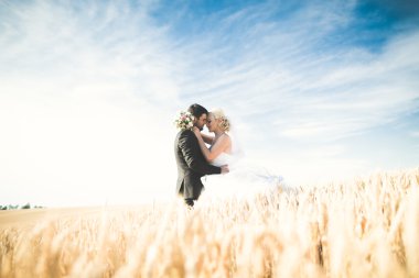 Güzel düğün çift, gelin ve damat buğday alan mavi gökyüzü ile poz