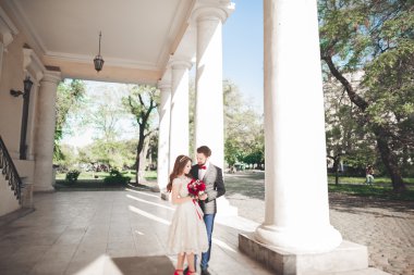 Güzel çift, gelin ve damat büyük beyaz sütun poz