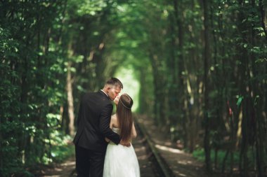 Güzel, mükemmel çift düğün gününde poz