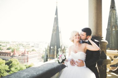 Muhteşem bir düğün çifti eski Lviv şehrinde yürüyor.