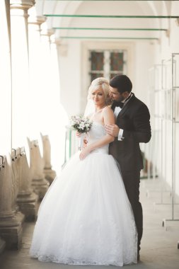 Mükemmel bir çift gelin ve damat düğün günlerinde poz verip öpüşürler.