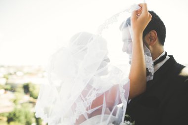 Güzel bir düğün çifti eski kasabanın arka plan panoramik manzarasında öpüşüp sarılıyor.