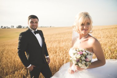 Alanına, aşık veya yeni evli ile poz güzel çift mavi gökyüzü mükemmel