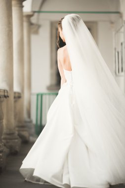 Eski şehirde poz lüks beyaz elbise ile harika gelin