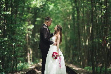 lüks şık genç gelin ve damat üzerinde arka plan bahar güneşli yeşil orman