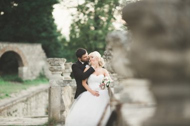 Mutlu düğün kaç sarılma ve öpüşme üzerinde arka plan eski kale