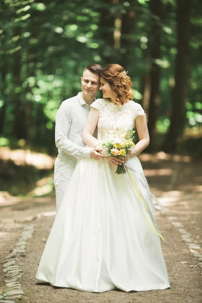 Romantisch, sprookje, gelukkig pasgetrouwd stel knuffelen en kussen in een park, bomen op de achtergrond — Stockfoto