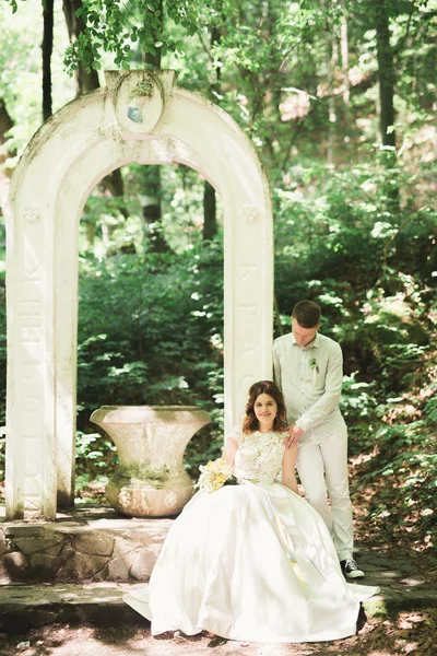 Schönes, perfektes Paar posiert am Hochzeitstag — Stockfoto