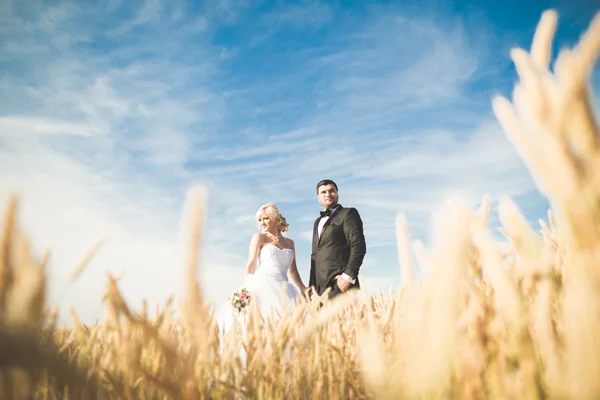 Belo casal no campo, Amantes ou recém-casados posando com céu azul perfeito — Fotografia de Stock