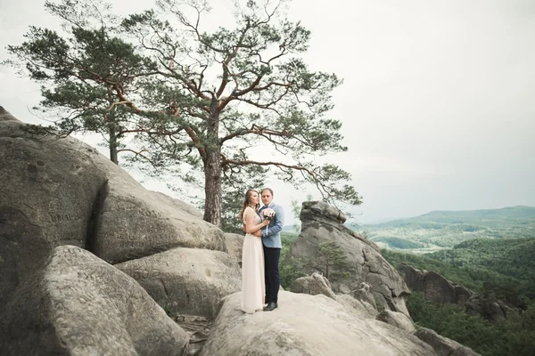 Casamento casal no amor beijando e abraçando perto de pedras na bela paisagem — Fotografia de Stock