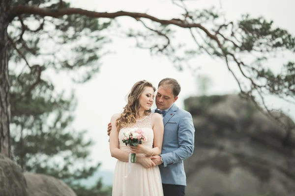 Preciosa novia, novio besándose y abrazándose cerca de los acantilados con impresionantes vistas — Foto de Stock