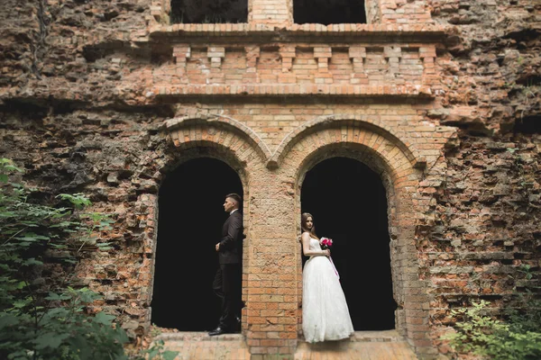 Incredibile felice gentile elegante bella coppia romantica caucasica sullo sfondo antico castello barocco — Foto Stock