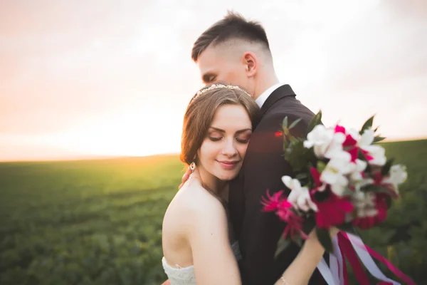 新郎を押し、背景の夕日に彼の花嫁にキス — ストック写真