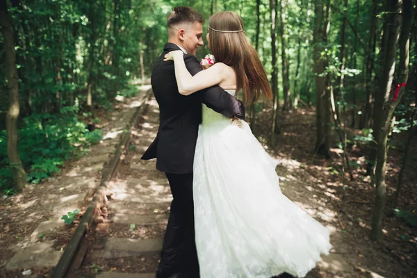 Casal recém-casado romântico beijando na floresta de pinheiros — Fotografia de Stock