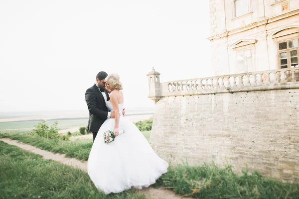 Mutlu düğün kaç sarılma ve öpüşme üzerinde arka plan eski kale — Stok fotoğraf