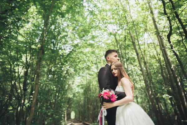 Lujo elegante joven novia y novio en el fondo primavera soleado verde bosque —  Fotos de Stock