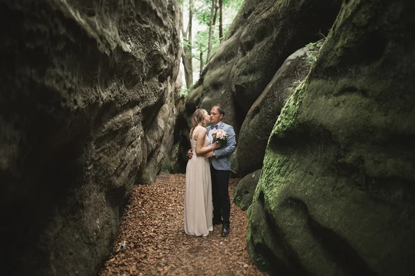 Прекрасная свадебная пара целуется и обнимается в лесу с большими камнями — стоковое фото