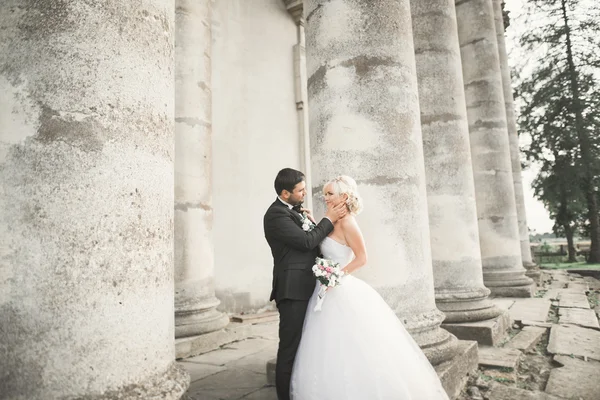 Bella coppia di sposi romantici che si abbracciano vicino al vecchio castello — Foto Stock