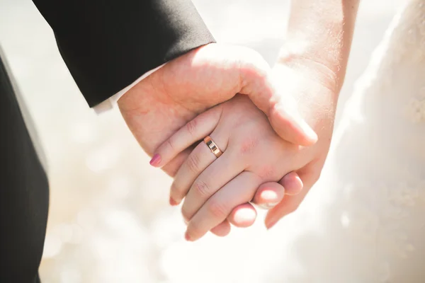 Wedding couple bride and groom holding hands — Stock Photo, Image