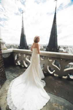 Muhteşem manzaralı balkonda güzel, lüks gelin.