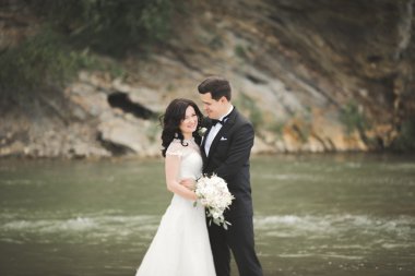 şık şık mutlu esmer gelin ve dağlarda güzel bir şelale arka plan üzerinde muhteşem damat