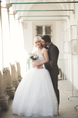 Mükemmel bir çift gelin ve damat düğün günlerinde poz verip öpüşürler.