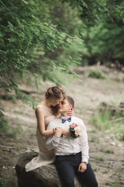 Zarif nazik şık damat ve gelin taşlarla Nehri yakınında. Evlilik çift aşık