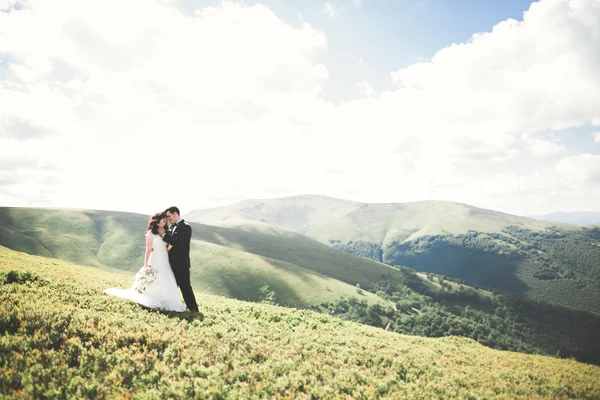 Kussen bruidspaar logeert boven prachtig landschap — Stockfoto