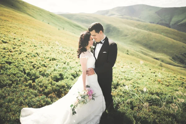 美丽的新婚夫妇，新娘和新郎，在爱情上的山脉背景 — 图库照片
