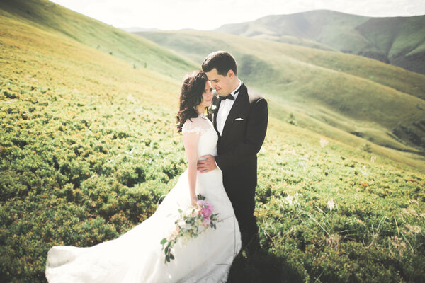 Beautiful wedding couple, bride and groom, in love on the background of mountains.
