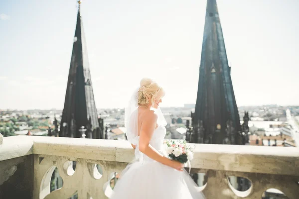 美丽的豪华新娘在阳台上与完美的风景 — 图库照片