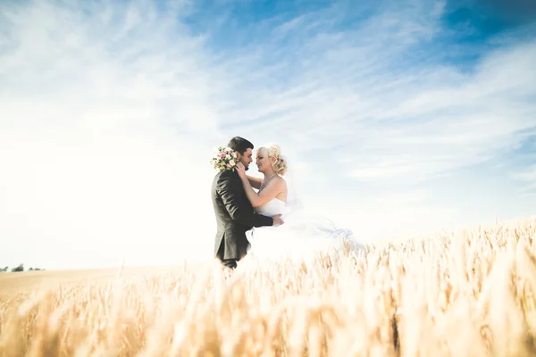 Beau couple de mariage, mariée et marié posant sur le champ de blé avec ciel bleu — Photo