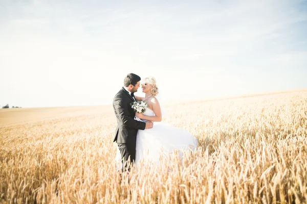 Elegante elegante novia rubia feliz y magnífico novio posando en el campo de trigo en el cielo azul de fondo —  Fotos de Stock