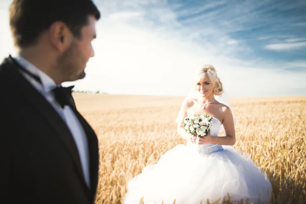 우아한 세련 된 행복 금발 신부와 멋진 신랑 배경 푸른 하늘에 밭에서 포즈 — 스톡 사진